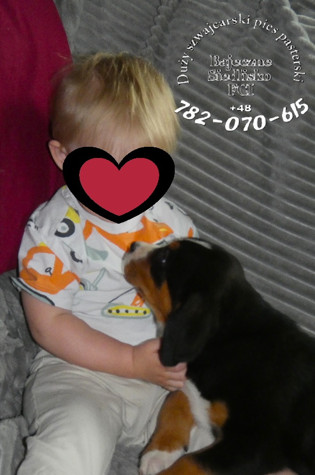 1P2530185abc.jpg
